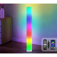 Nouvelle Lampe sur Pied LED RGB avec Contrôle par APP, Activée par la Voix, Effet Ciel Étoilé, Veilleuse Ambiante pour Chambre, Salon et Fêtes