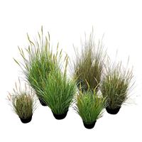 Herbe artificielle en forme de queue de chien, roseau, herbe à aiguilles dorées, plante bonsai, décoration de sol pour vitrine intérieure, plante en pot