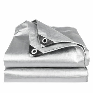 Ruigu Huizhong PE <b>Waterproof</b> Tarpaulin Double Silver 180g <b>Sunscreen</b> Rainproof Outdoor Cover - Product Image 1