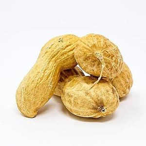 Cacahuetes con Cáscara de Primera Calidad en Venta, 99% de Pureza, Suministro a Granel de Fábrica para Fabricantes de Alimentos - Product Image 2