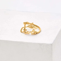 Anillo Abierto de Acero Inoxidable con Doble Nombre para Parejas, Chapado en Oro de 18K, Regalo de San Valentín de Moda
