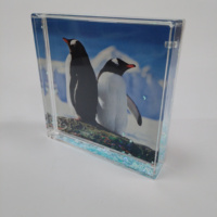 Cadre photo carré en acrylique 4x4 pouces avec impression sérigraphiée liquide flottante, décoration moderne, cadeau de vacances, souvenirs, requin, poisson