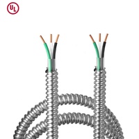 Câbles BX Câble multicouche en métal blindé homologué UL 12/2 12/3 Câble MC 3 en 1 Fil électrique