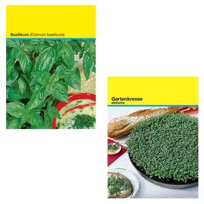 Multicolor, black/turquoise