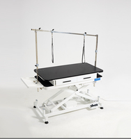 Table de toilettage électrique relevable pour animaux, protection anti-fuite, construction automatique en acier inoxydable, rangement sécurisé sous la table