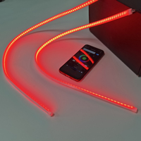 Bandes lumineuses LED série Flow, tube en silicone, contrôle par application, 24 pouces, 60 cm, 1 pièce