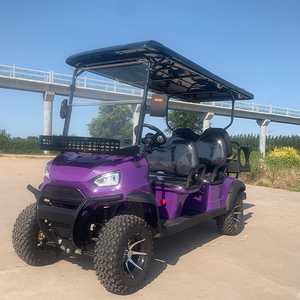 Voiture de golf tout-terrain homologuée CE, chariot de golf, buggy de golf - Product Image 2