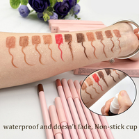 Nouvelle arrivée crayon à lèvres rose avec multi couleurs marron végétalien crayon à lèvres crème imperméable Lipliner