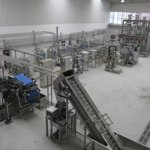 Linha de processamento industrial automática de suco concentrado de gengibre e coco, maçã, pêra, linha de processamento de leite de coco