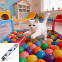 Pointeur laser pour chat, jouet interactif à lumière rouge pour chats et chiens, jouet portable pour l'exercice des chatons et des chiots, jouet d'intérieur