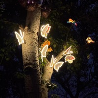 Vente en gros d'usine, lampe LED dynamique en forme de papillon IP65 de 40 cm, imitation d'insecte en ABS, décoration lumineuse pour Noël et Halloween