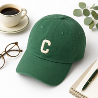Gorra de Béisbol Personalizada con Logotipo Vintage, Bordado en Relieve 3D, 100% Algodón Suave, Estilo Dad Hat de 6 Paneles, Sarga Lavada