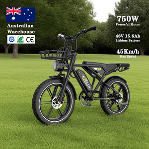 KOOLUX X9 250W Vélo électrique tout-terrain à pneus larges avec batterie au lithium, moteur sans balais et autonomie de 70-150 km - Product Image 2