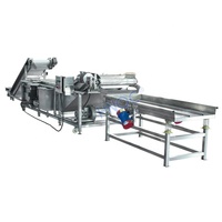 Laveuse à rouleaux pour patates douces et manioc, machine à laver et à polir les fruits frais à racines