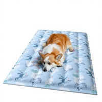 Tapis rafraîchissant en plastique pour animaux de compagnie, pour chiens et chats, tapis de couchage d'été avec imprimé animal de dessin animé