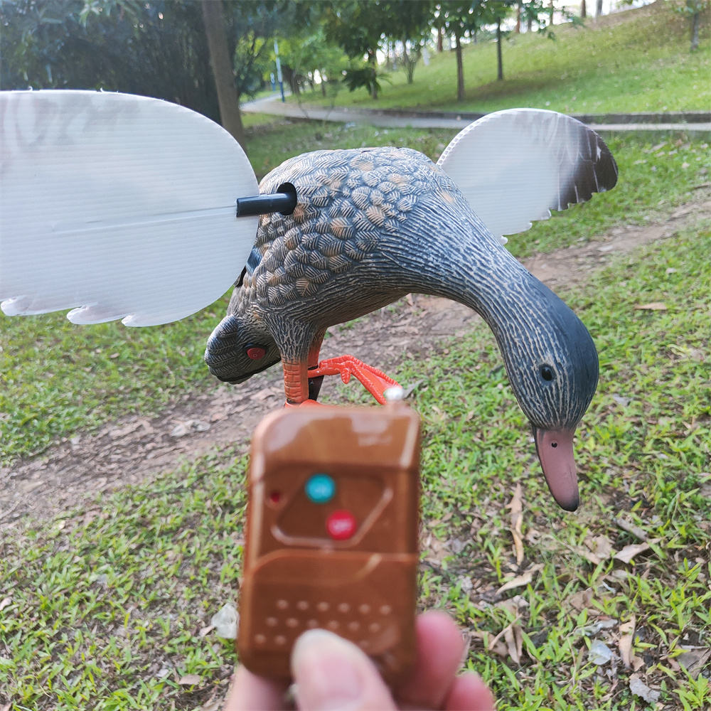 Deco Di Hacke Che Scaglio - Forma Di Colomba Realistica