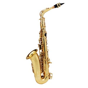 Source transfrontalière E-Flat Alto Saxophone Surface dorée laquée Côtes simples et côtes doubles pour examens débutants Utilisation universelle - Product Image 3