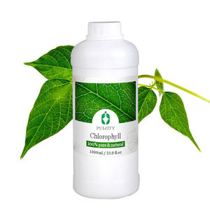 Clorofila Líquida Orgánica Natural Pura de Marca Privada al por Mayor de Fábrica, Muestra Gratuita, para Digestión y Consumo - Product Image 2