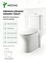 WC monobloc en céramique avec siphon en S allongé pour salle de bain, modèle chinois, ensemble de toilettes pour salle de bain à vendre