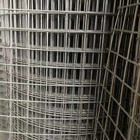 Grillage soudé galvanisé à chaud 1x1 pouce et 1x1,5 pouce pour cages à oiseaux, clôtures, dalles et renforcement mural