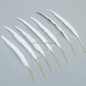 Con trỏ ngỗng trắng với mô hình nhuộm cho hàng thủ công lễ hội và bộ sưu tập lông - Product Image 5