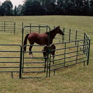 Pannelli di recinzione per cavalli a tubo circolare per bestiame pannelli per bovini per cavalli agevolmente assemblati da allevamento di pecore e capre - Product Image 2