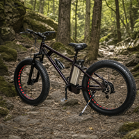 Vélo électrique à pneus larges de 26 pouces, 48 V 250 W, cadre en aluminium, pour la vente en gros