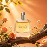Flacon pulvérisateur de parfum en verre carré plat rechargeable de luxe élégant 30ml 50ml 100ml avec couvercle rond