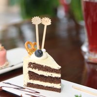 100% biologisch afbreekbare, milieuvriendelijke kinderfruitprikkers van bamboe, leeuwvormig, wegwerp cocktailprikkers voor picknick