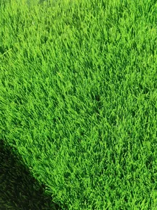 Césped Artificial Sintético para Exteriores, Césped Artificial Realista para Jardinería y Paisajismo - Product Image 1