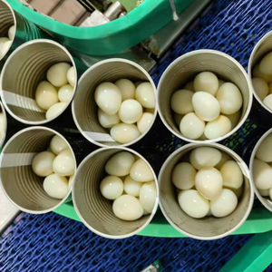 Œufs de caille pelés et cuits en conserve Sinofarm pour salade d'œufs Tamago <span class=keywords><strong>Onsen</strong></span>, service de restauration, Japon - Product Image 2