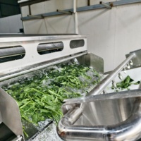 Hexu Aanpasbare Multifunctionele Wasautomaat voor Groenten, Fruit, Koffiebonen, Noten, Mais, Granen en Spinazie met Pomp