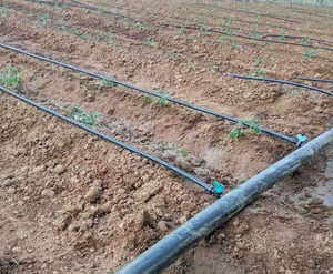 Ruban goutte-à-goutte en plastique <span class=keywords><strong>de</strong></span> haute qualité, nouveau matériau, <span class=keywords><strong>6</strong></span> hectares, pour l'irrigation agricole, usine, services OEM/ODM - Product Image 6
