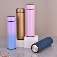 Termo de Acero Inoxidable Color Mate con Filtro para Té, Botella de Agua Aislada de 500 ml para Uso Diario