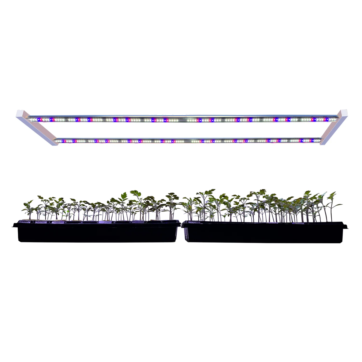 Новейшая светодиодная лампа для выращивания растений в теплицах, комнатных цветов, клонов, гидропонных корней, овощей, рассады, цветения, светодиодная лампа для выращивания