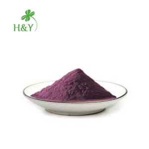 Poudre de jus de carotte violette 100% naturelle à base <span class=keywords><strong>d</strong></span>'extraits de plantes, en vente - Product Image 4