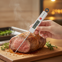 Termometer Digital Plastik Rumah Tangga Tahan Air Tipe Probe -50~300 Derajat Celcius untuk Memasak Daging BBQ di Dapur