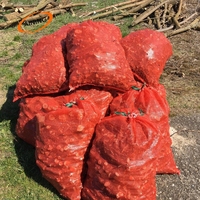 Herbruikbare Brandhout Netje Netto Tassen Voor Canada