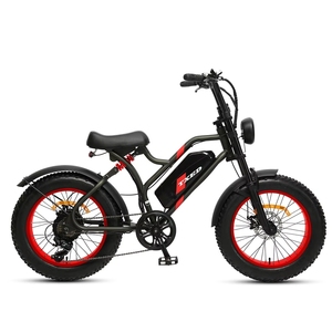 TXED 20 Zoll 250W 48V 13AH Aluminium-Legierung Hinterradnabenmotor Bürstenloser Scheibenbremse Lithium-Akku Faltbares Fatbike Motorrad Unisex - Product Image 1