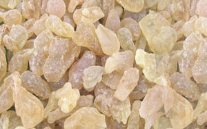 Poudre d'extrait de Boswellia Serrata d'approvisionnement d'usine - Product Image 4