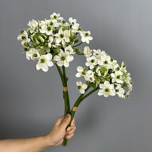 Flores Artificiales Bethlehem Star, Decoración para el <span class=keywords><strong>Hogar</strong></span>, Accesorios <span class=keywords><strong>de</strong></span> Fotografía, Artículos <span class=keywords><strong>de</strong></span> Decoración, Arreglos Florales para Bodas - Product Image 3