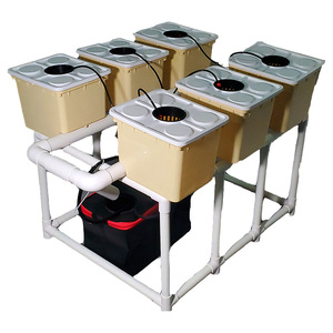 Système complet de culture hydroponique de tomates en seau hollandais pour jardin - Product Image 6