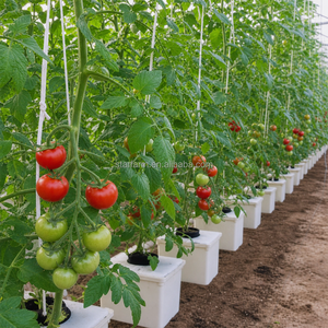 Système de seaux aéroponiques commerciaux 20 pièces, système de seaux Bato avec coude de siphon spécialisé pour systèmes d'irrigation goutte à goutte hydroponiques - Product Image 5