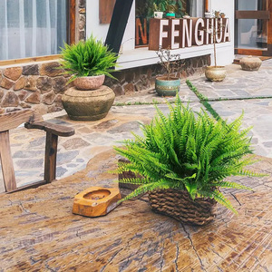 Plante artificielle en herbe persane « Riding The Wind », 10-30 cm, verte, pour décoration intérieure et extérieure, mariage, en plastique, haute simulation - Product Image 2