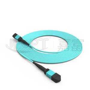 مصنع توريد mpo mtp om4 sm mm mpo 24 cores الاتصالات الوفير الألياف البصرية patchcord لfith