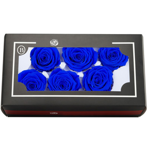 Venta al por Mayor de Cabezas de Rosas Preservadas Reales, Color Mocha Mousse Blanco, Rosa Eterna para Decoración de Bodas, Manualidades, Rosa Eterna en Flor - Product Image 3