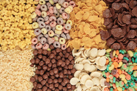 Maïsflakes smaak- en kruidensysteem dubbele trommels voor granen, snacks, snoep, chocolade, fruitmixer, poeder spuitmachine
