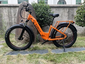 <span class=keywords><strong>MTB</strong></span> 26 pulgadas fuera de carretera Fat Bike 48V 14ah impermeable hombres mujeres montaña mejor bicicleta eléctrica - Product Image 3