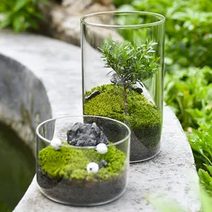 Artificial Plants in Geometric Glass Pots  Succulent Plant Terrarium Container Flower Pots Micro Landscape Glass Vase