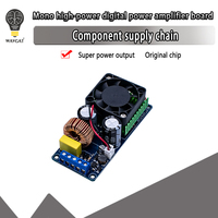 500W classe D HIFI puissance IRS2092 Mono canal numérique scène amplificateur carte composants électroniques